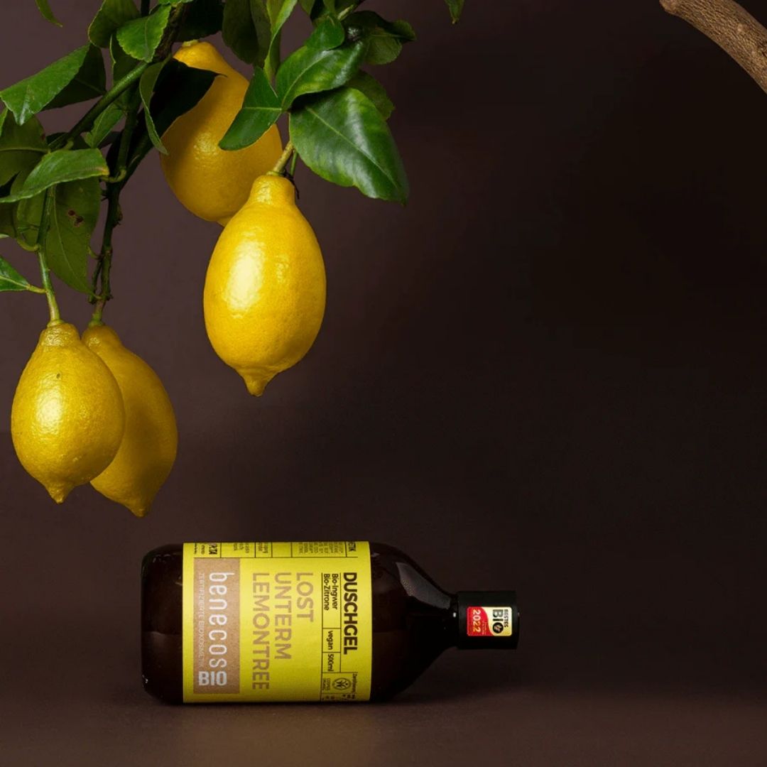 benecosBIO Shower Gel organic ginger + organic lemon