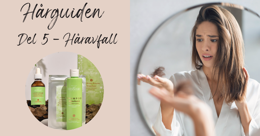 schampo mot håravfall