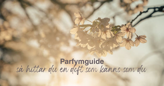 Parfymguide