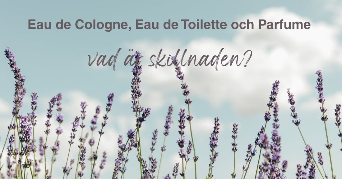 cologne eller parfym