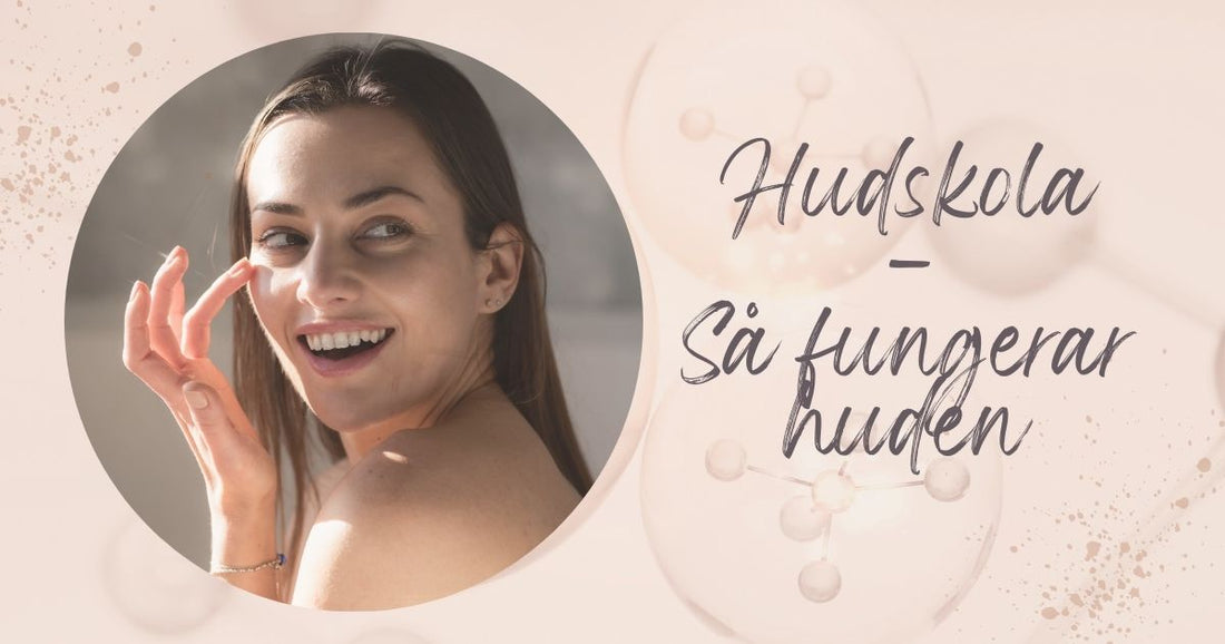 Hudskola del 1-1 – Så fungerar huden inifrån och ut