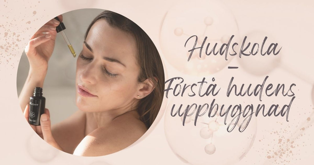 Hudskola del 1-2 - Förstå hudens uppbyggnad, funktion och behov