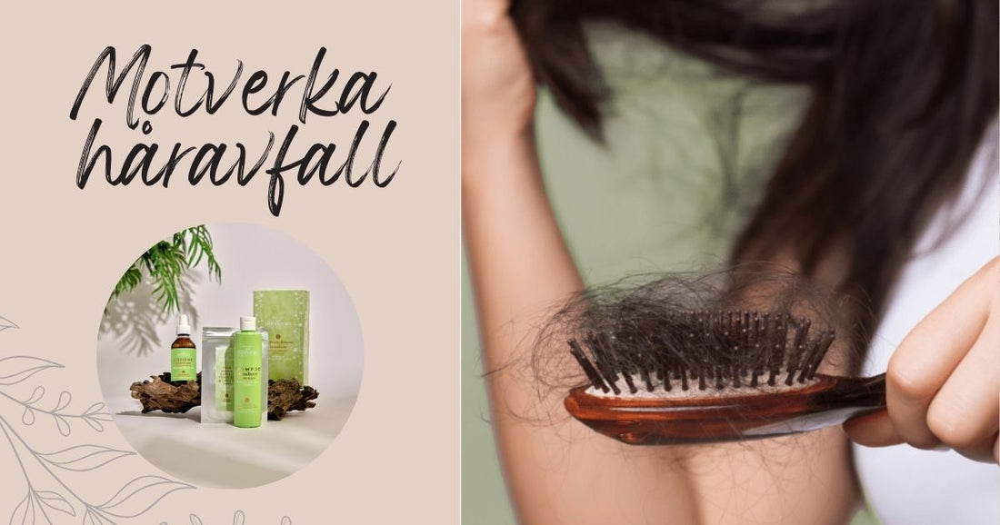 Minska håravfall inför säsongen – med naturens hjälp 🌿
