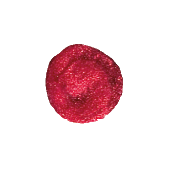 benecos Natural Lipgloss
