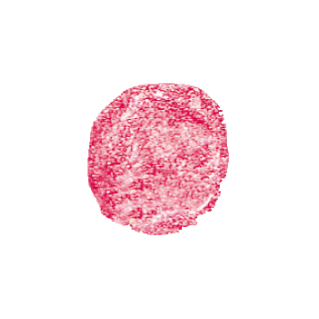 benecos Natural Lipgloss